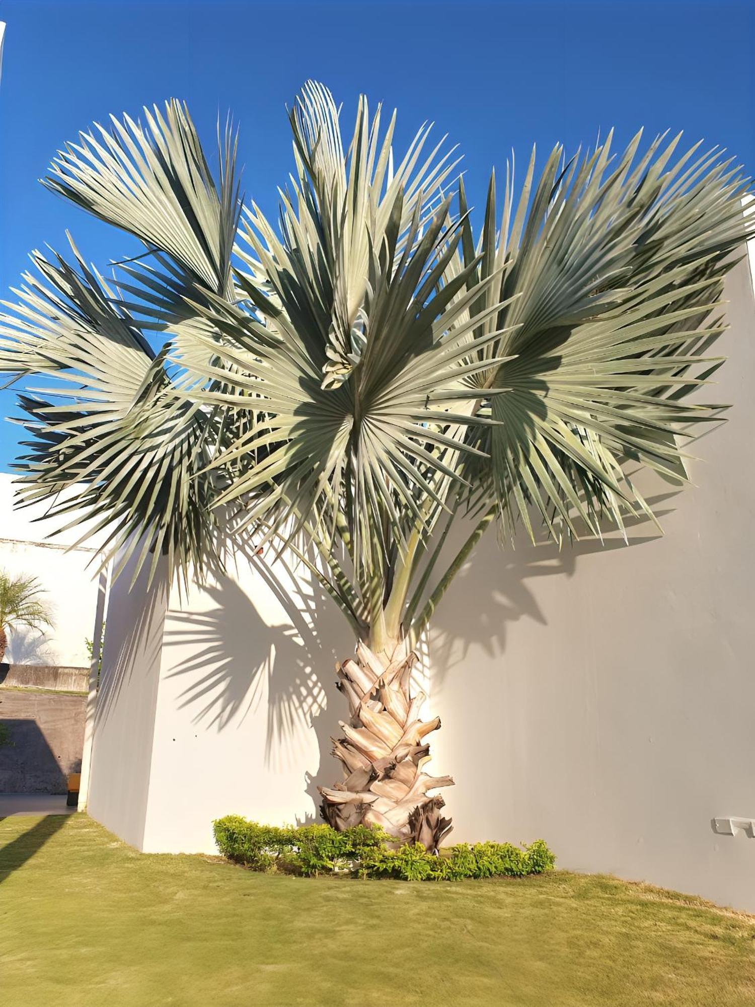 Beach Villa With Cozy Terrace Río Hato 外观 照片