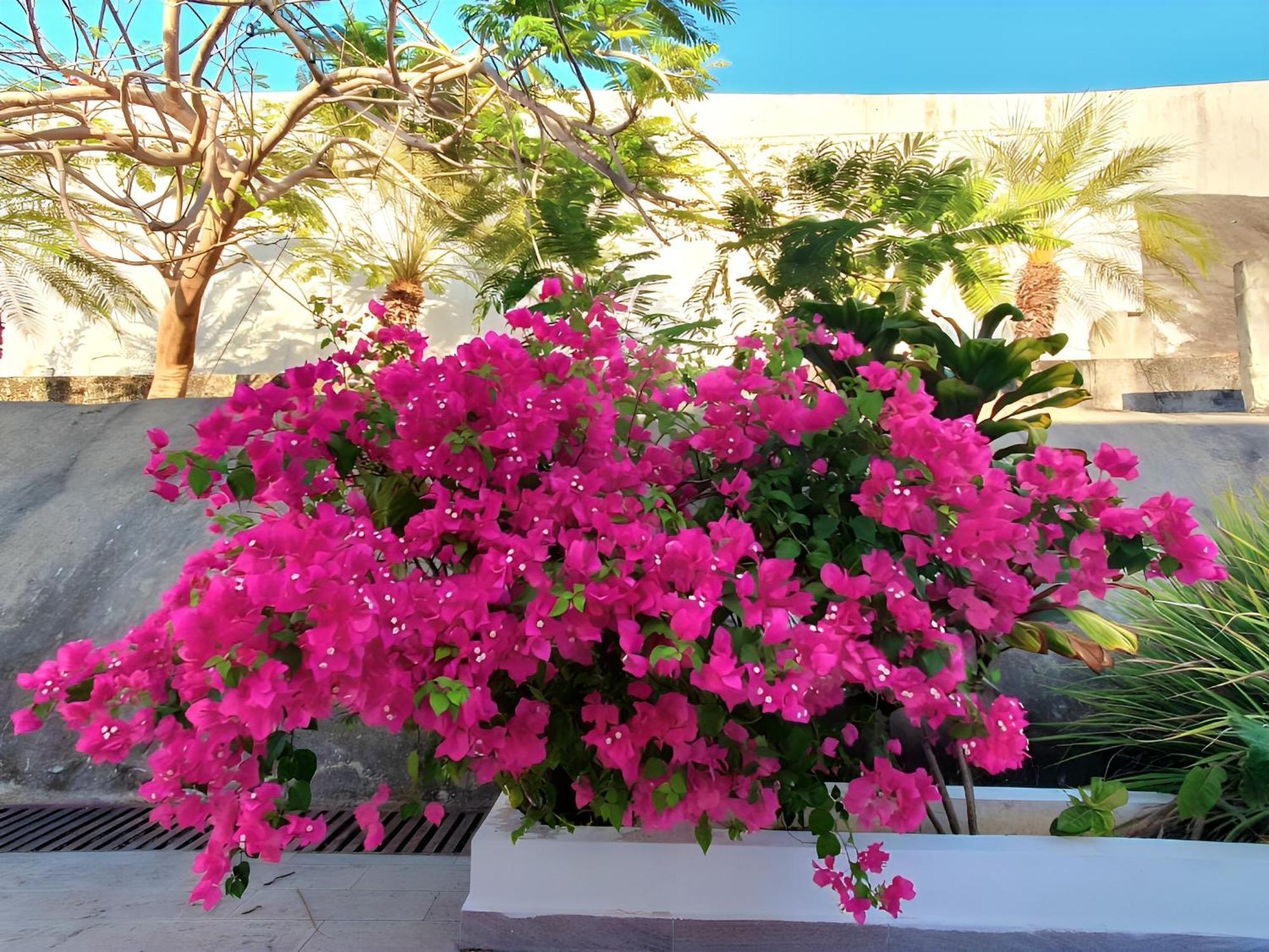 Beach Villa With Cozy Terrace Río Hato 外观 照片